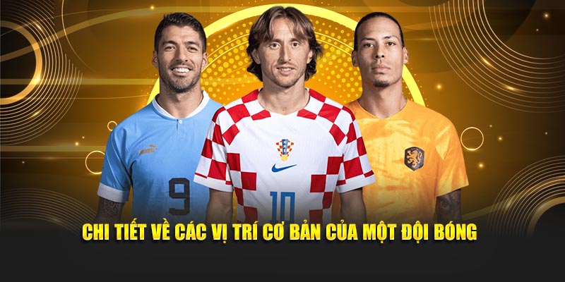 Chi tiết về các vị trí cơ bản của một đội bóng
