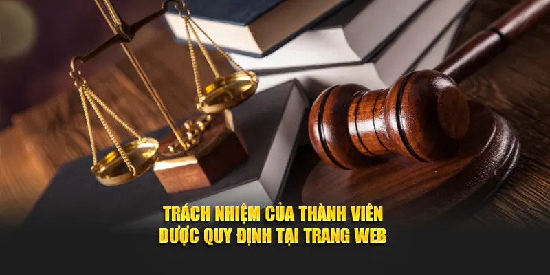 Các hoạt động của thành viên được quy định tại trang web